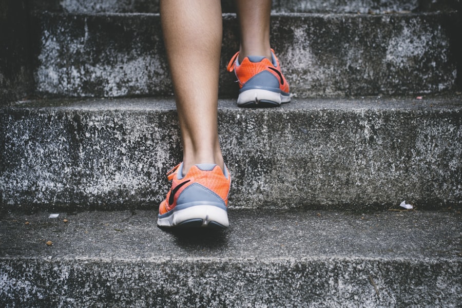 Zone 2 Training and the Mitochondrial Engine